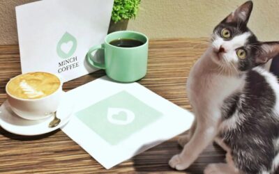 Buying a Cat Cafe Franchise: A Comprehensive Guide for Aspiring Entrepreneurs