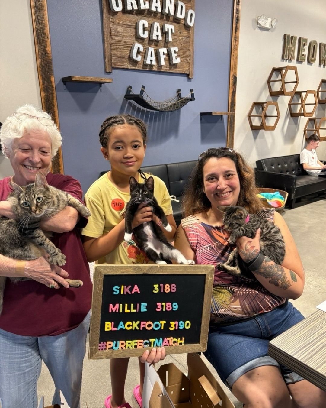A family adopting three cats at Orlando Cat Café, holding a #PurrfectMatch sign