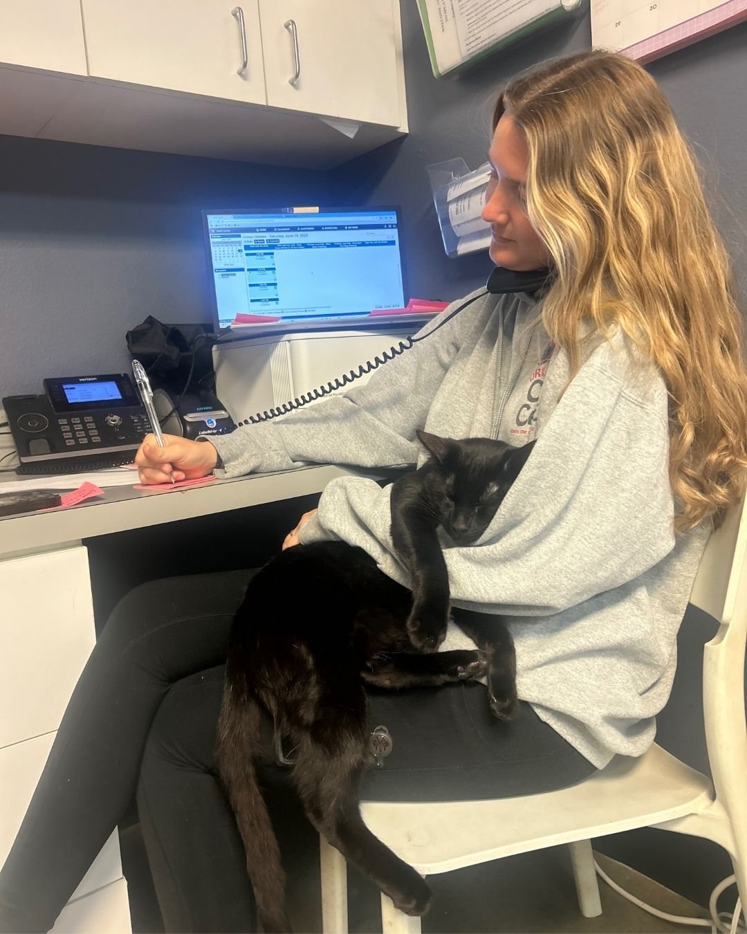 A team member at the front desk with a black cat on her lap